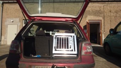Hundebox Golf 4 Limousine