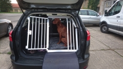 Transportbox für Ford
