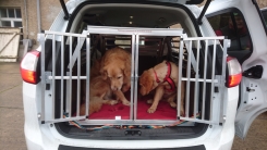 Hundebox für Auto