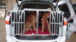 Transportbox fürs Auto Ford