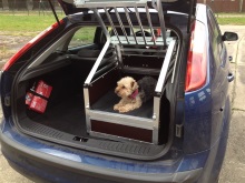 Hundetransportbox Ford Focus Limousine