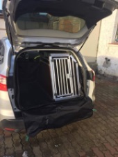 Hundebox Ford Focus