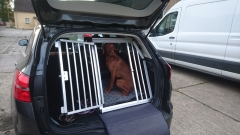 Hundebox Ford Focus 2016