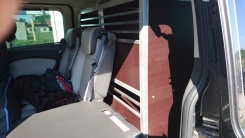 Ford Tourneo Hundetransportbox Auto