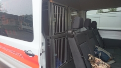 Sonderausbau Hundeboxen Ford Transit