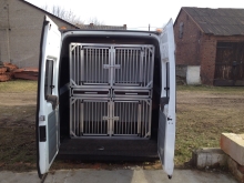 Hundebox für Ford Transit