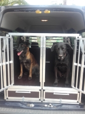 Hundebox für Auto Ford