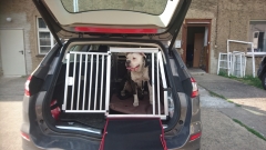 Transportbox für Ford Mondeo
