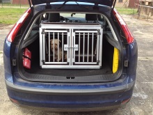 Hundebox Standard