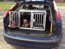 Standard Hundebox