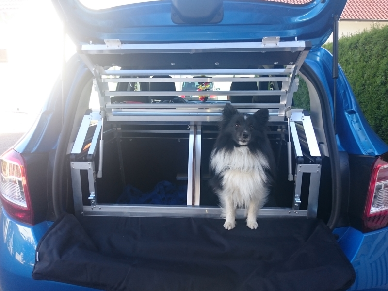 Hundebox/ Einzelbox für Dacia Sandero 1.Generation (Sonderbau 51)