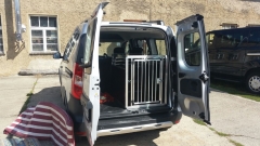 Hunde transportieren Hundebox Dacia