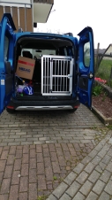 Hundebox für Dacia Dokker