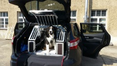 Hundetransportboxen Faustmann Nissan