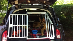 Hundebox Opel Insignia Sports Tourer 
