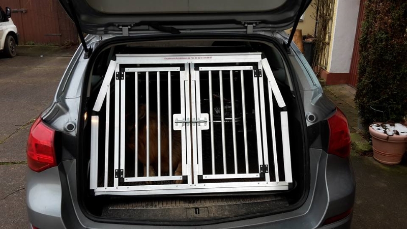 Hundebox/ Einzelbox für Opel Astra K Sports Tourer (Sonderbau 351)