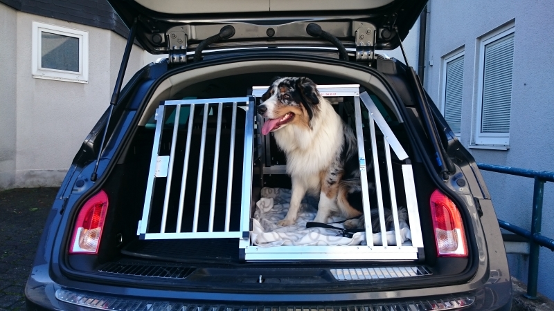 Hundebox/ Einzelbox für Opel Astra K Sports Tourer (Sonderbau 351)