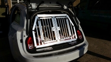 Transportbox Opel Insignia