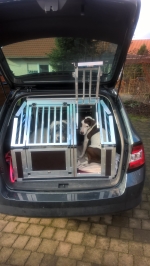 Auto Hundebox Skoda Fabia