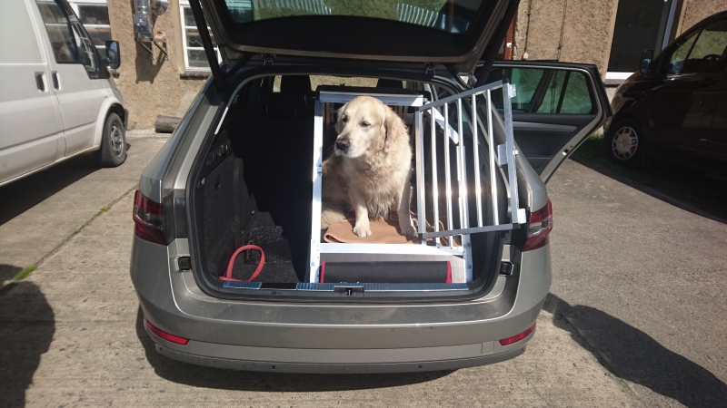 So transportieren Sie jeden Hund sicher in Ihrem Škoda - Škoda