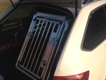 Skoda Octavia Hundetransportbox