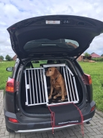 Transportbox Toyota RAV 4 2016