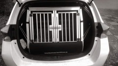 Hundebox für Toyota Auris