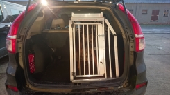 Hundebox Honda CRV