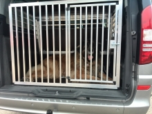 Hundetransportbox für Mercedes Viano