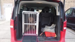 Hundebox Mercedes V-Klasse