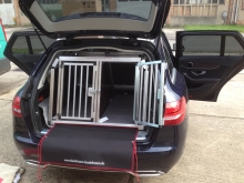 Hundebox Mercedes