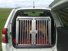 Transportbox für Suzuki
