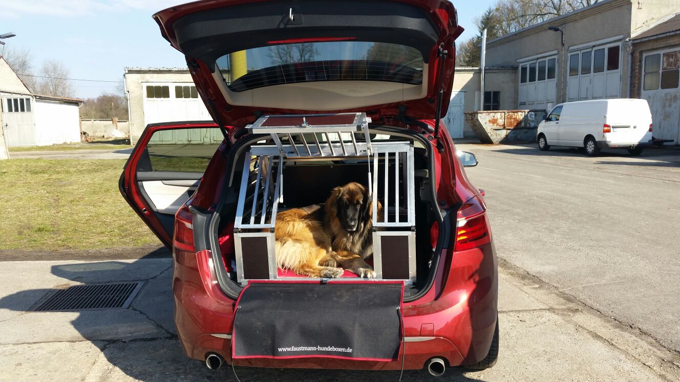 Zweigeteilte Hundeboxen - Faustmann Hundeboxen