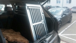 Hundetransportbox X5 BMW