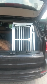 Hundebox BMW X5