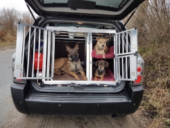 Transportbox Hyundai 
