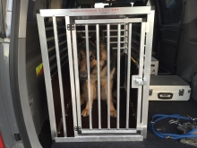 hundebox Hyundai H1