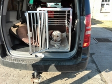 Hundebox für Hyundai H1