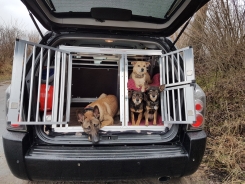 Hundebox für Hyundai Tucson