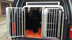 Hundetransportbox mit Ablage