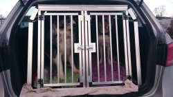 Faustmann-Hundebox VW Passat Variant