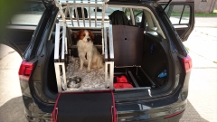 Hundebox VW Tiguan