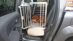 Hundeboxen für VW Amarok