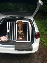 Hundebox VW Golf Variant