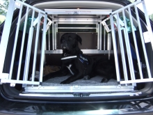 Hundetransportboxen VW Passat Variant