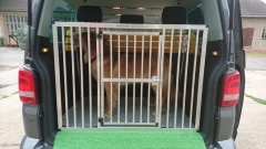Hundebox VW T5 Multivan