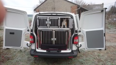 Hundebox VW T5