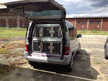 Hundeboxen im Citroen