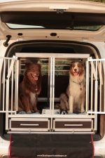 Transportbox für Citroen Berlingo