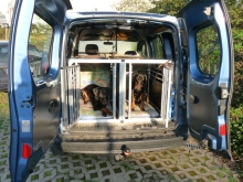 Hundebox für Renault Kangoo